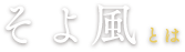 そよ風とは